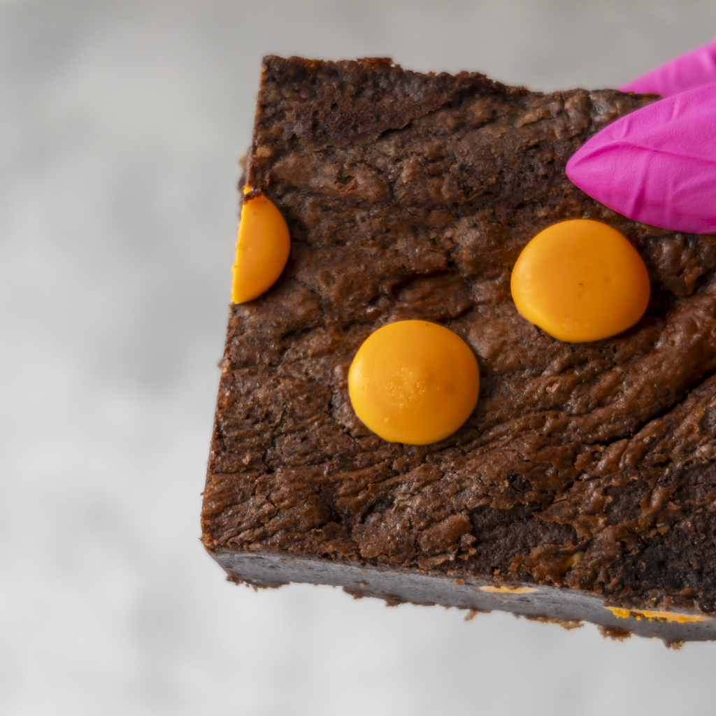 Close-up photo of Chocolate Orange Brownie Slab with orange buttons held by a gloved hand on a light background